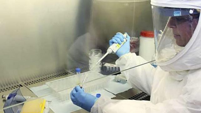 Llegaron los reactivos para hacer 31 mil pruebas de coronavirus y se distribuirán en las provincias