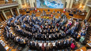 Suiza y la consolidación de la debida diligencia ambiental: un punto de inflexión en la regulación global