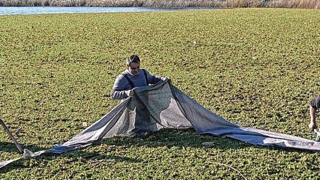 La Municipalidad realiza un operativo de limpieza en el lago del Parque del Sur