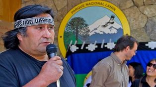 Mapuches dicen que pueden llegar a morir si les falta leña