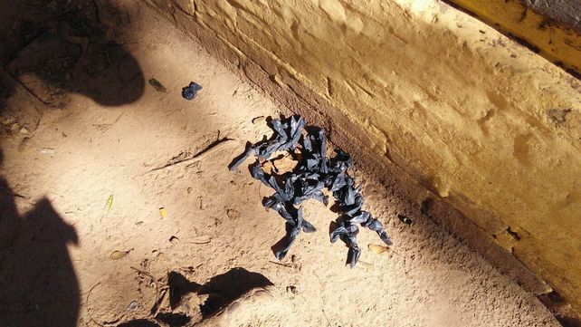 Detienen a cuatro deliverys de drogas frente a la basílica de Guadalupe