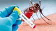 Hay 8 mil casos de dengue en el país y más de 500 de chikungunya