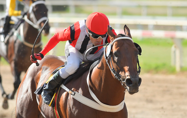 Suspenden a un entrenador por dar cocaína a un caballo