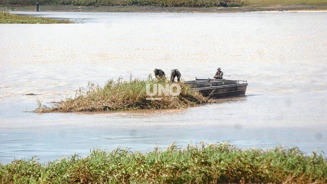 Embalsados en Santa Fe. Comenzaron los trabajos de erradicación de la vegetación acuática en la Laguna Setúbal. Foto UNO Santa Fe: José Busiemi.