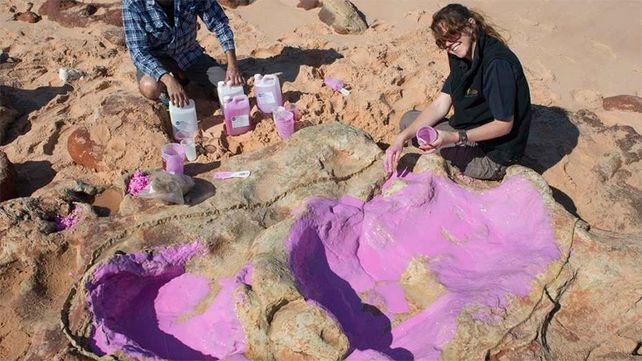 Identifican huellas de dinosaurios en el Jurassic Park de Australia