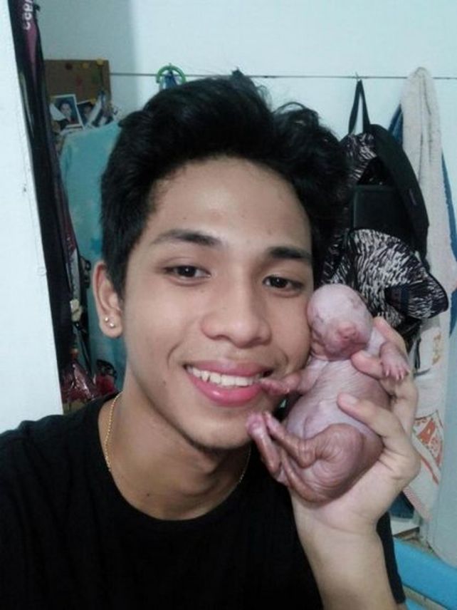 Le censuraron la foto porque su perro se perece a un pene