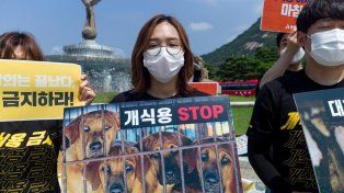 En Corea del Sur hay 1.150 granjas, 34 carnicerías, 219 distribuidores y 1.600 restaurantes. La ley que prohíbe el consumo de carne de perro a partir del 2027