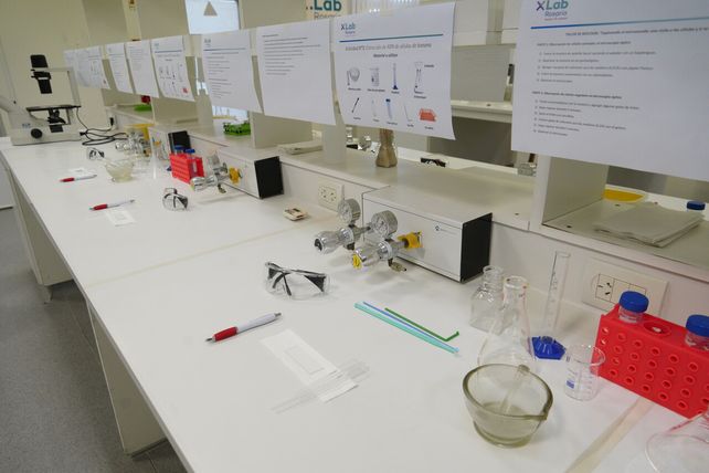 El XLab