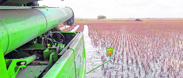 La impronta ambiental en la agricultura argentina