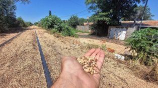 Santa Rosa de Lima: el olor insoportable de la carga de un tren descarrilado que afecta a los vecinos.