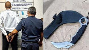 Un expolicía mató y decapitó a su madre y luego se entregó