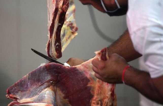 El gobierno oficializó el cierre de exportaciones de carne vacuna