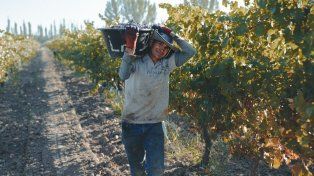 Bodega Araujo se sumó a la celebración mundial por el Malbec