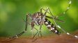 Dengue en Entre Ríos: no se registran casos autóctonos al inicio de la temporada