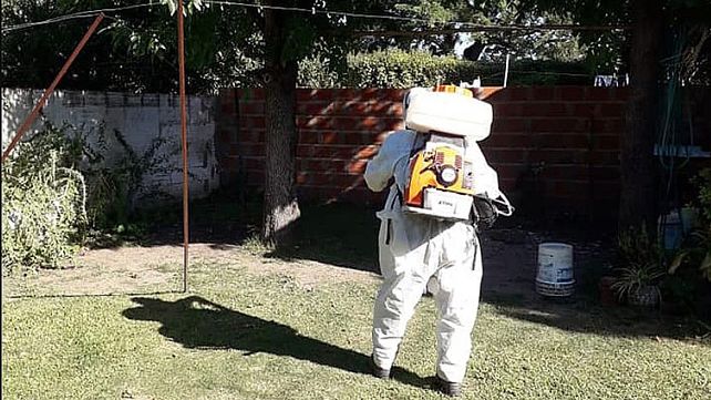 Llegan al centenerar los casos de dengue en Nogoyá