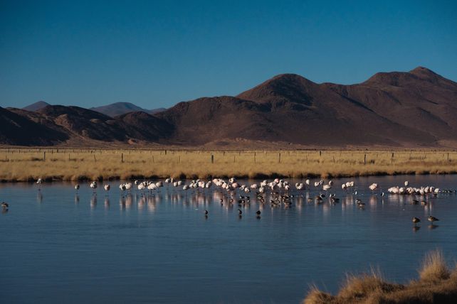 Si el proyecto de modificación de la ley de glaciares avanza