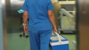 La provincia alcanzó las 60 donaciones de órganos en lo que va del año