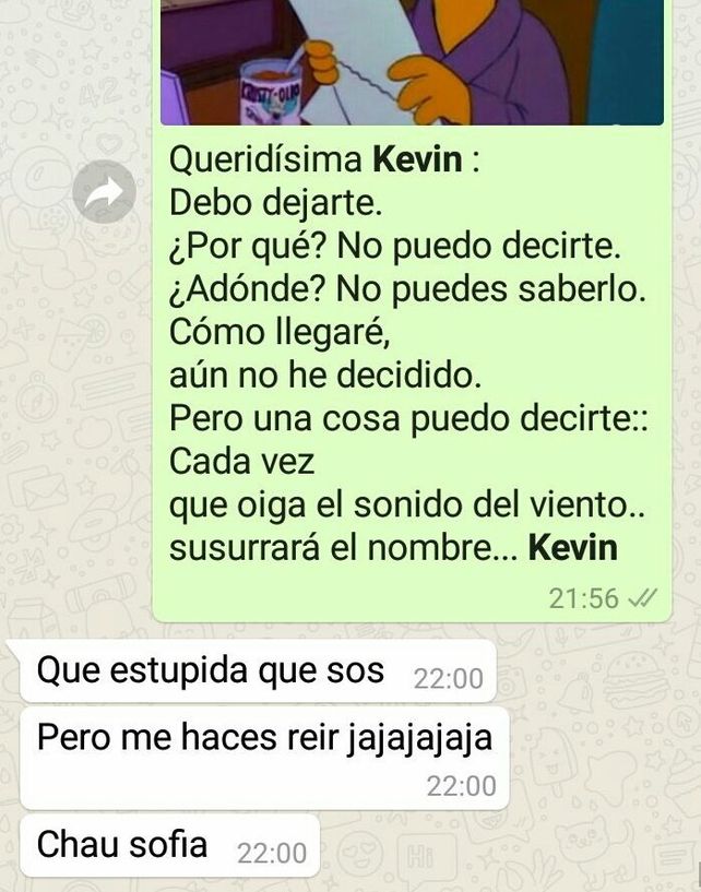 Es viral: le cortó a su novio por WhatsApp con memes de los Simpsons