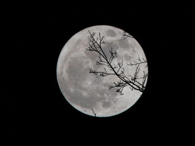 Cómo impactará la Luna llena a cada signo del zodiaco. Foto: Unsplash&nbsp;