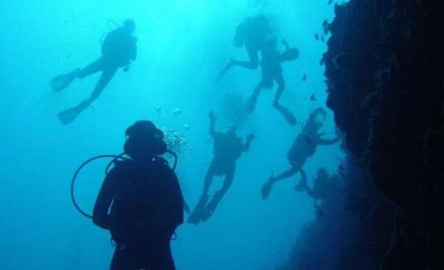 Nadando con tiburones. Se detuvieron encima varios sobre nuestras cabezas