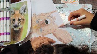 El aguará guazú es la imagen de la octava edición del Ficer