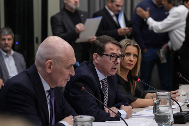 La comisión de Presupuesto recibió al santafesino Carlos Guberman