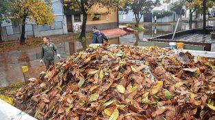 Temporal: el municipio defendió el funcionamiento de las estaciones de bombeo y admitió dificultades por las hojas que obstruyen los drenajes