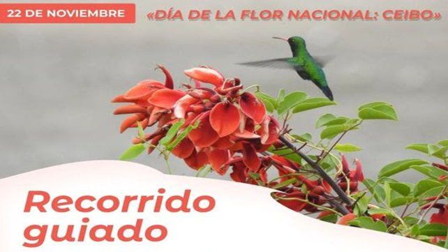 Santo Tomé: la Municipalidad invita a una visita guiada en el marco del Día de la Flor Nacional para reconocer los Ceibos