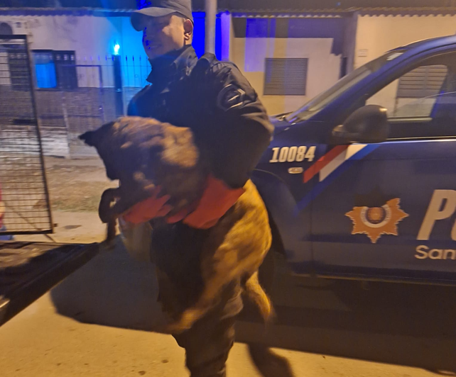 Rescatan a una perrita y sus diez cachorros del interior de un desagüe