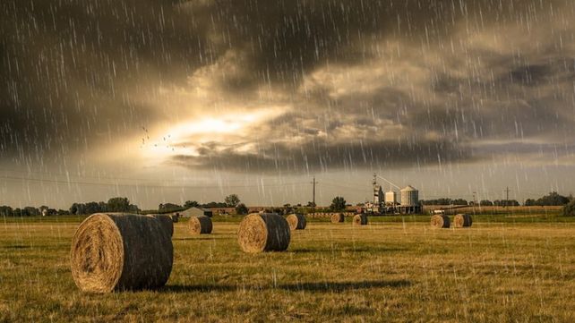 A cielo abierto. La actividad agropecuaria ser&aacute; impactada por el clima.