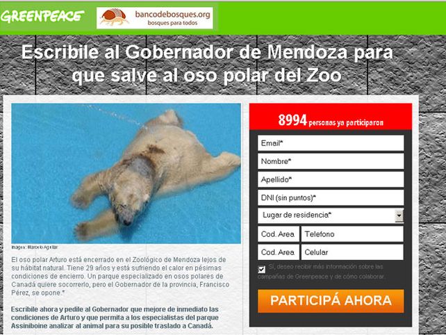 Greenpeace se sumó al pedido de traslado del oso Arturo
