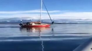 Video: un velero embistió a propósito a una ballena en el Canal de Beagle