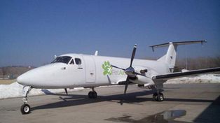 Lanzan Pet Airways, una aerol&iacute;nea exclusiva para mascotas