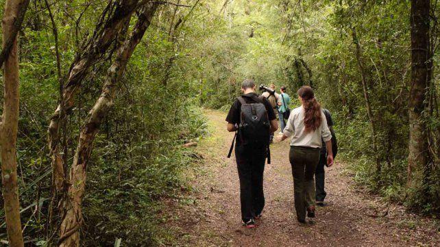 Es uno de los más nuevos lugares protegidos del norte argentino y mayor remanente del mítico impenetrable chaqueño. Un destino agreste para el turismo natural