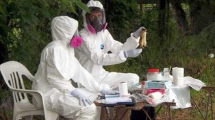 El hantavirus es una enfermedad viral aguda grave, transmitid por el ratón rural, a través de su saliva, heces y orina. El 70% de los casos se registra en región Centro&nbsp;
