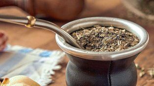 Siguen los estudios que reafirman los beneficios de la yerba mate en la salud