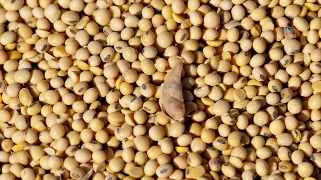 El mercado Matba Rofex lanzó un nuevo índice