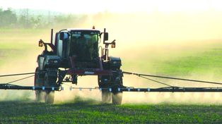 La Corte convalidó los 1.000 metros libres de agroquímicos en Sastre