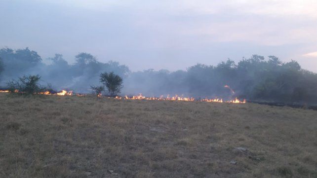 Este miércoles se vuelven a registrar incendios en el sur de Entre Ríos. En Médanos el fuego y el humo invaden las banquinas de la RN12