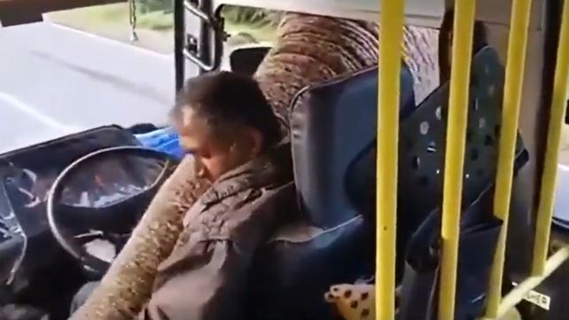 El conductor tuvo que soportar el paso de la trompa por la ventanilla del micro hasta que el elefante consiguió el botín.