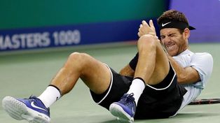 La caída de Del Potro que preocupó a todos