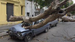 Las ráfagas de viento de 80 km/h causaron severos destrozos en la ciudad