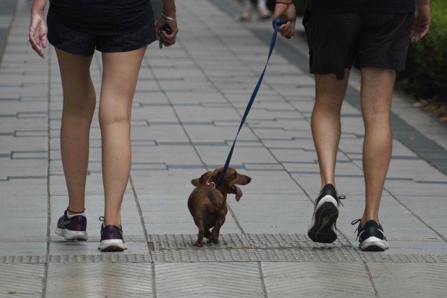 El tiempo en Rosario: lunes con nubes y la máxima en leve aumento