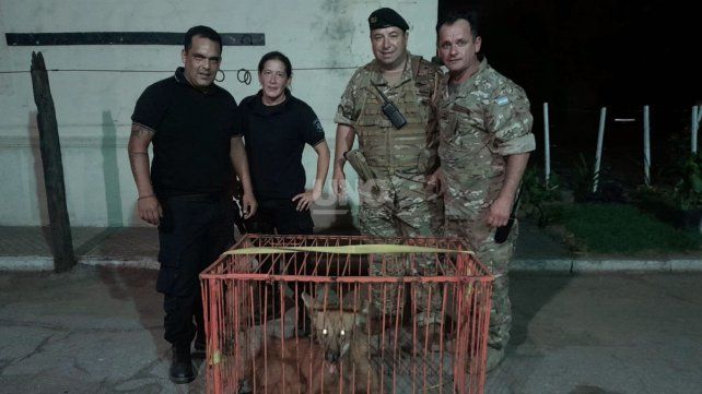 Personal de la policía comunitaria junto al del Liceo Militar que colaboraron con la captura del ejemplar de aguará guazú
