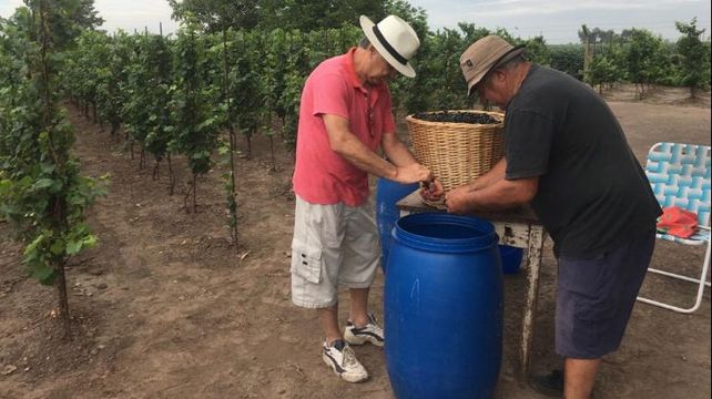 Vinos con terruño y memoria santafesina
