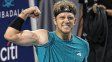 Davidovich y Moutet se metieron en las semifinales del ATP de Washington