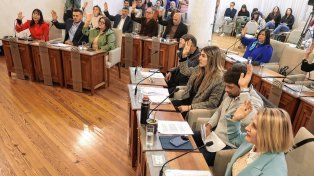 La iniciativa fue aprobada por los 15 ediles del Concejo Deliberante de Paraná.