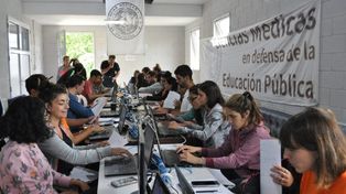 Los datos fueron relevados en las localidades de Acebal, Arteaga, Chabás, Luis Palacios, San Genaro, San Jorge, Sastre, Timbúes y Villa Eloísa.