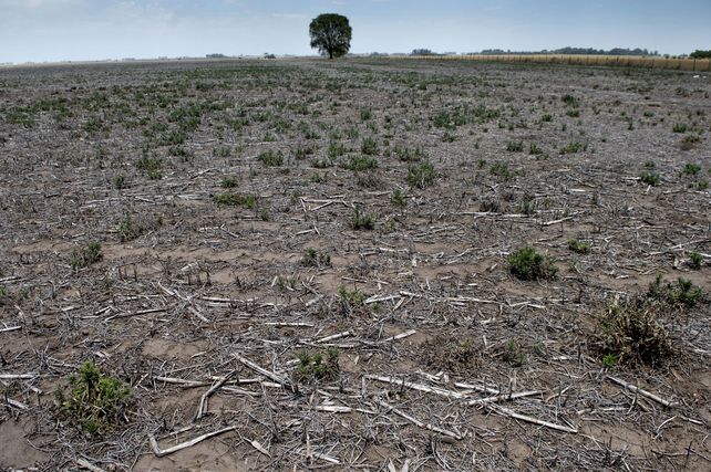 Toda la geografia santafesina sufre por falta de lluvias