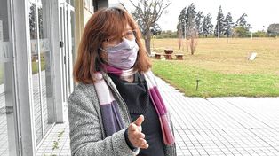 Chan: Los agroquímicos se necesitan para cultivos a gran escala